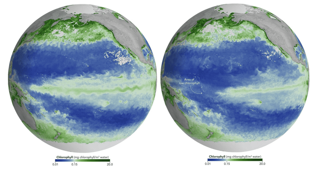 Satélite da NASA mostra que El Niño muda a cor do oceano e reduz fitoplâncton