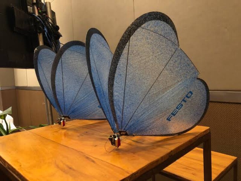 Asa de borboleta inspira material antirradar e antirruído